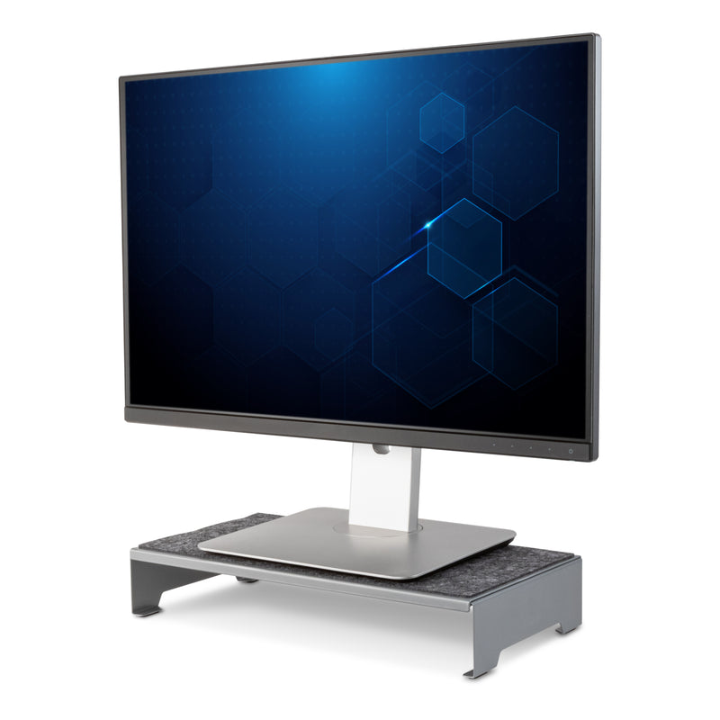 TechStyle Steel Monitor Stand
