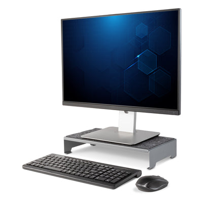 TechStyle Steel Monitor Stand